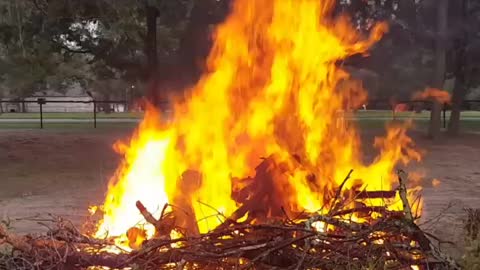 Pasture Bon Fire