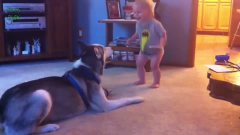 Funny Babies Talking to Dogs Compilation