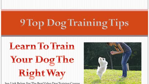 9 tips to training your dog (MUST SEE)