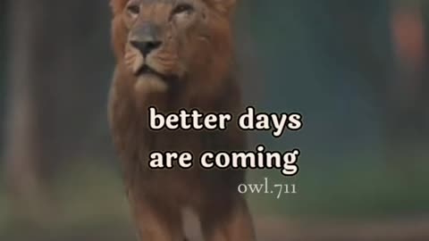 Better Days Are Coming,Be Patient | Motivational quotes