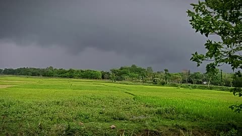 Beautiful scenery of rural Bengal