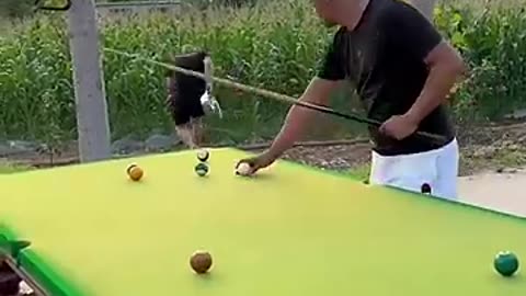 Funny snooker shots