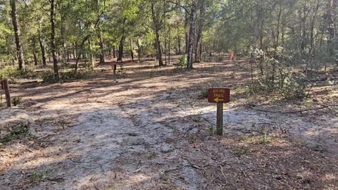 Hiking Indian Lake State Park Forest in Central Florida