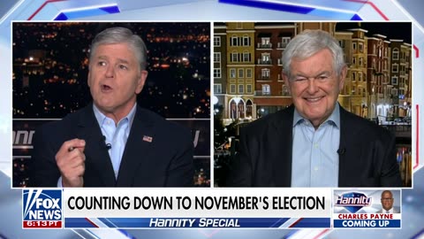 Newt Gingrich: Democrats don't believe in the rule of law, but in the rule of power