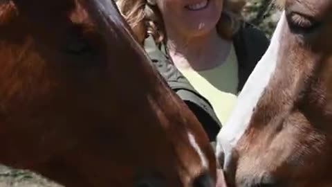 Woman Standing in Front of Horses