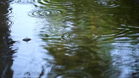 Natural, Natur, rain