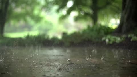 Relaxation Station - Relaxing Music - Rain Sound - Sleep Music - Slow Motion Raindrops Background