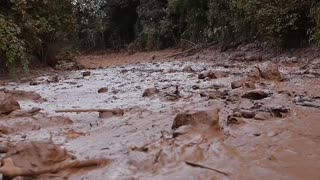 Llegan a 84 los muertos y 276 los desaparecidos por tragedia minera en Brasil