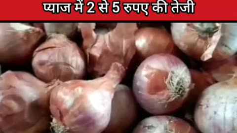 Today onion mandi rate in India