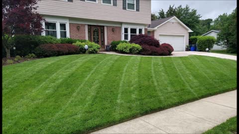 Blooming Green Landscape LLC - (771) 213-3205