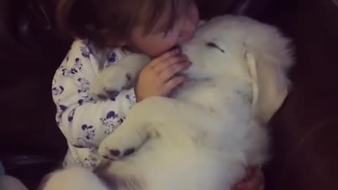 baby are sleeping with dogs