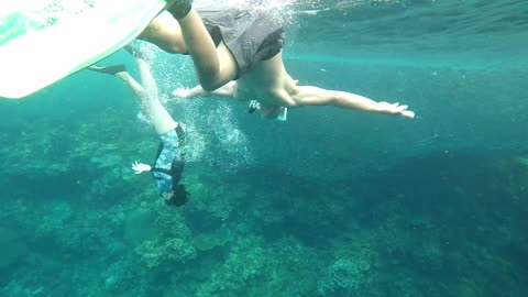 Sardine Run at Bohol, Philippines