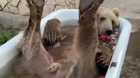 Girl has to have her alone bath time. 😂