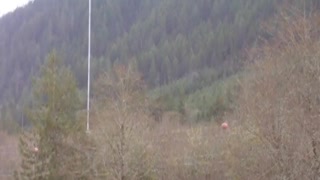 Clearing Limbs From Around The Powerline