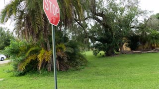 (00009) Part One (P) - Moore Haven, Florida. Driving the Hood!