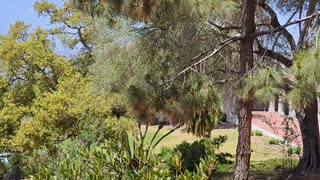 Presidio Park West View..