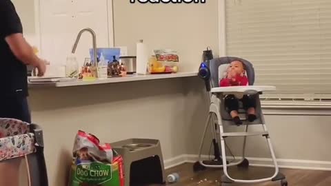 Baby has priceless reaction after dad throws cheese on his face