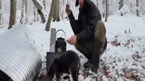 Snow Survival Cozy Dugout Enjoying