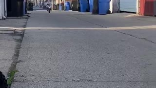 Mini Bike has a Big Crash