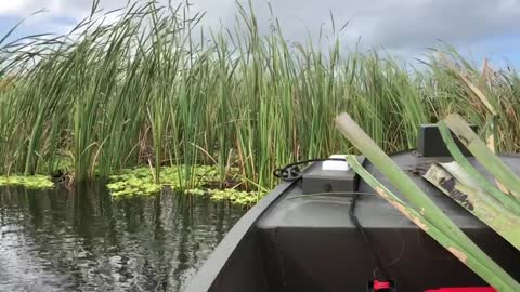 Duck Boat on Lake Okeechobee