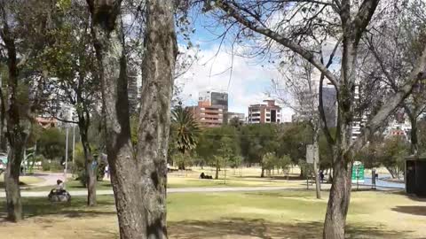 Parque las Carolinas, Quito Ecuador