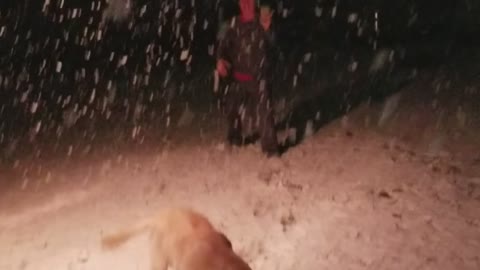 Rare S. Texas snow storm