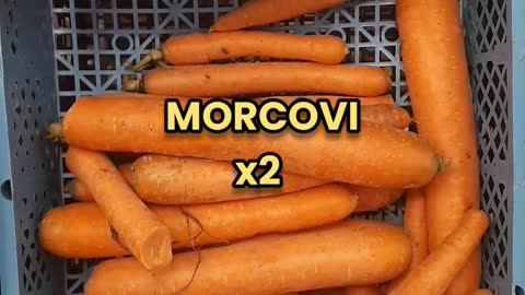 Learn to say CARROTS in Romanian