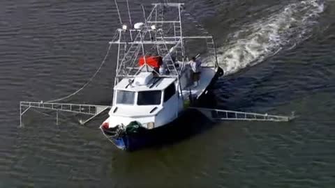 Ragin Cajuns: Blimp's Shrimp Dance