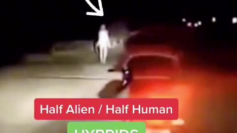 Alien Hybridization of humans