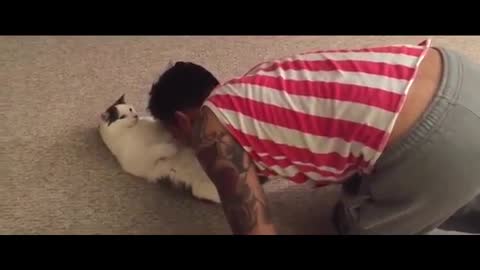 Cat Love With his owner