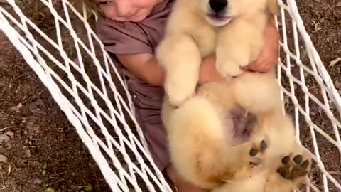 Puppy in a Hammock! #dogs #dogsvideo