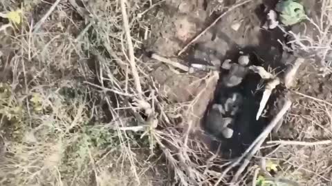 War Ukraine - Russia. They drop a grenade from a drone right into the trench#2