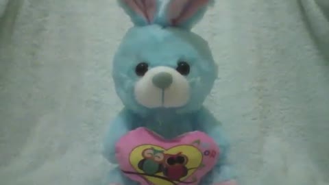 Cute blue stuffed rabbit, holding a heart with the design of 2 owls [Nature & Animals]