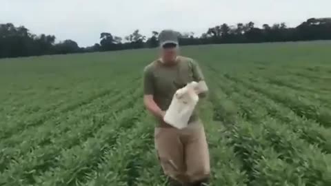 This Kind Man Helped Deer to Remove the Plastic Bottle Stuck on its Head