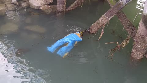 Sea Otter Tries on Pants