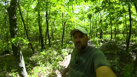 Family Hike Activity Outdoors ~ Highest Point in Missouri Mountain!