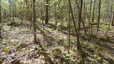 Oak Mountain State Park Yellow Trail Hike. Slideshow.