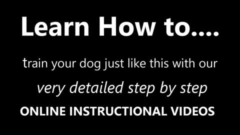 Dog Training! Step by Step !!!! Easy and Fast!