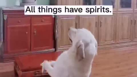 All things have spirits