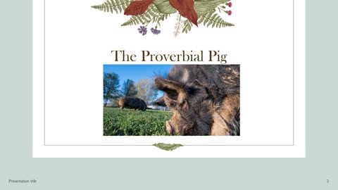 The Proverbial Pig