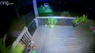 Storm Takes Out Huge Tree Next To Home