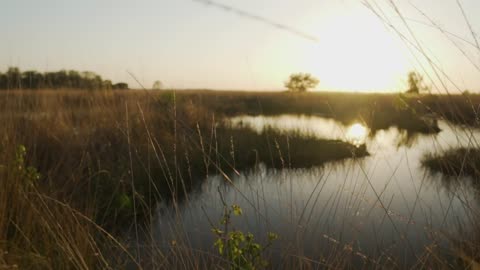 Lake surrounded by dry grass in the savanna