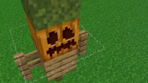 SCARECROW 😨🐦in MINECRAFT || #minecraft #shorts