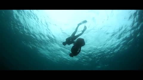 Diving in the Ocean