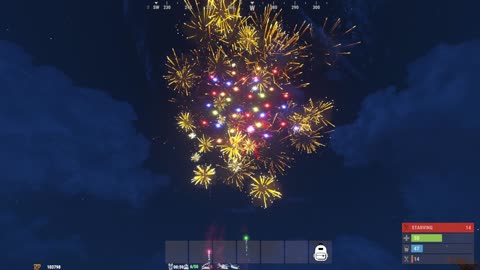 Fireworks show 1/29/2022