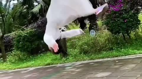 backflip