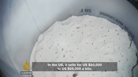 Snow of the Andes Peru's Cocaine DOCUMENTARIO la regione più povera del Perù, la Valle de los Ríos Apurímac, Ene y Mantaro(VRAEM) è ingovernabile e il traffico di droga prospera