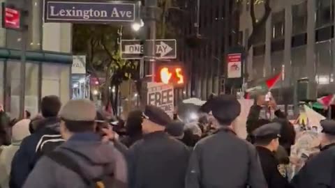 Thugs rip down the USA flag and police Watch them on armistice day