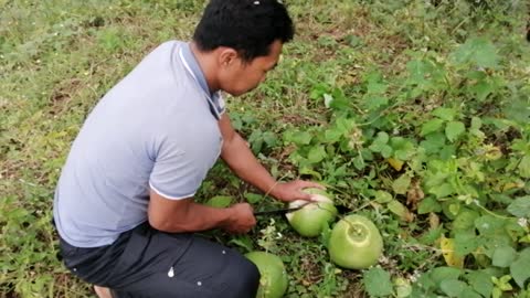 How to open coconut /how to eat coconut