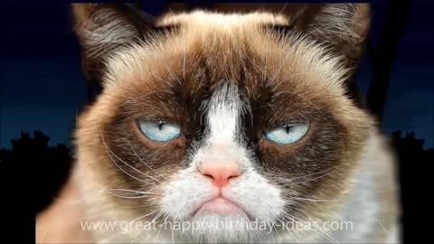 HAPPY BIRTHDAY SONG, GRUMPY CAT (TOO FUNNY)